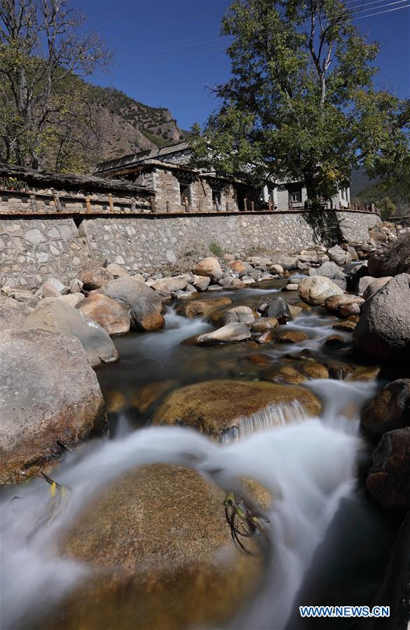 明星人工智能语音 @otto147258 2月14日 杨幂寸止挑战