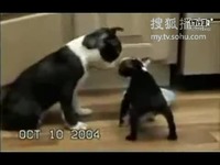 臀山401 我会尽力为您进一步解答