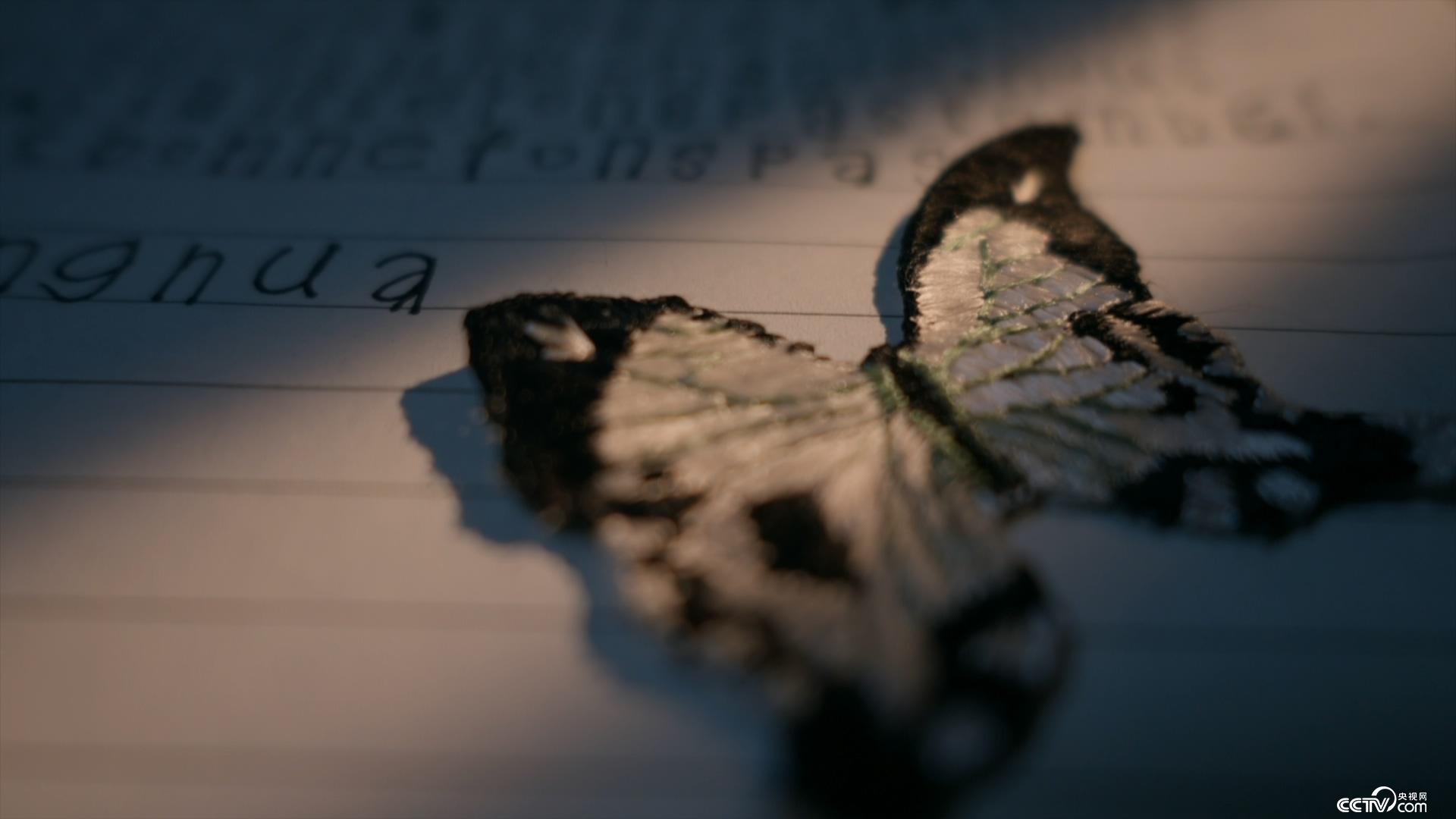 海角吃瓜网黑料泄密