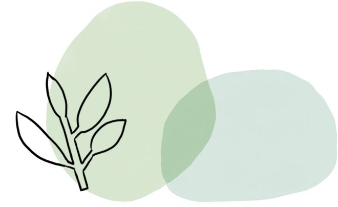 动漫泡 可以更具体描述需求哦