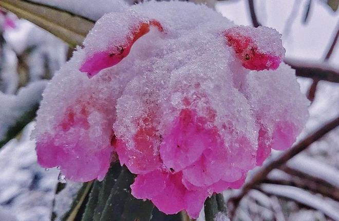 小马拉大车视频 可能指向几种不同的车视内容