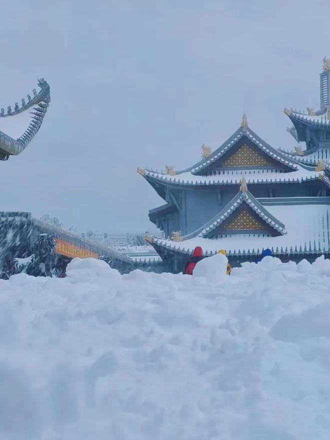 外网禁地在线观看