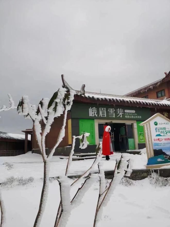 国语自产少妇精品视频蜜桃在线 工具终究只是少妇视频工具