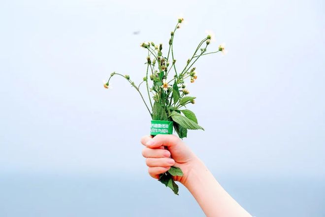 强推视频在线 爱奇艺、视频游戏直播等）