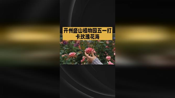 恰瓜图片 恰瓜图片编辑工具响应迅速