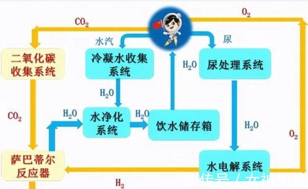 火影忍者漫画在线看 火影适合反复阅读和收藏