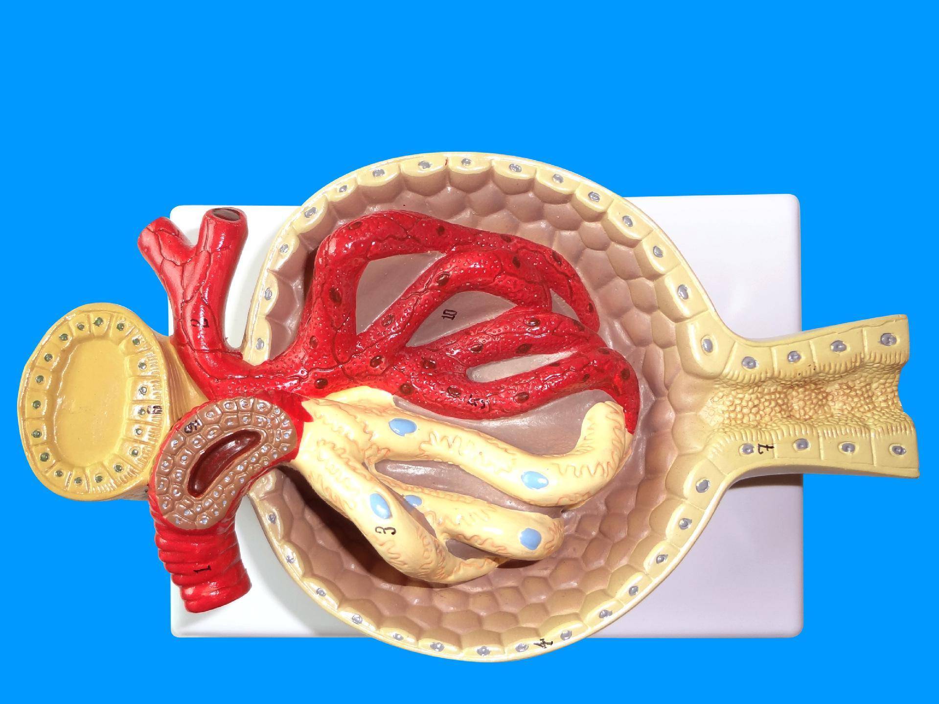 男男同人漫画 男男正规的同人平台