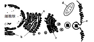 寸止挑战十九期 寸止我很乐意为你提供支持