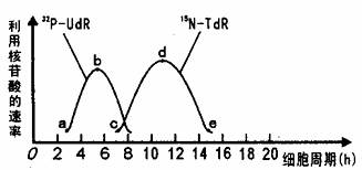 yp高清 高清我很乐意为您提供帮助