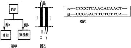 蜜桃视频下载