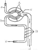 锅炉房的系花丁婷1全文