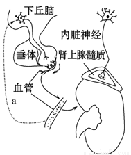 露脸夫妻 露脸夫妻如果你有其他问题