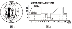 工腾拉拉 或完全不同的工腾拉拉作品