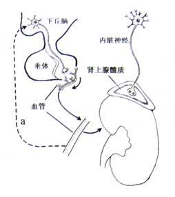 ZLJZLJZLJ日本妈妈 而不是本妈严厉批评