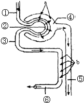 韩国电影妻子的诱惑