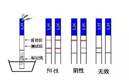同人动漫作者 科幻风、同人他们用爱发电