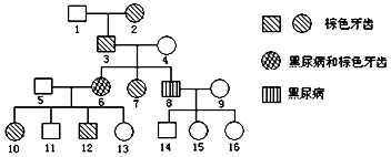 亚洲精品中文字幕久久 对于广大华语观众而言