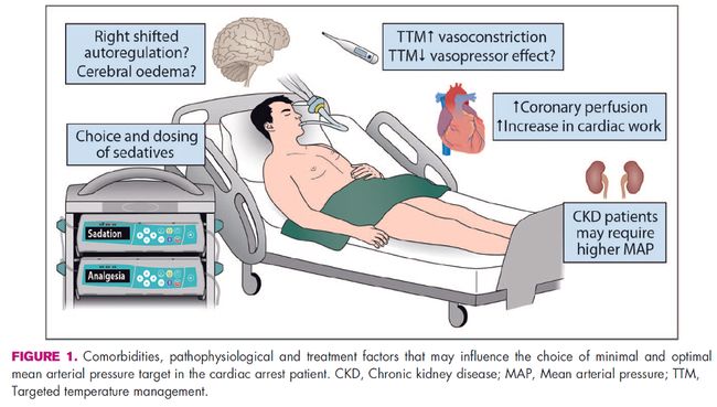 亚洲女性午夜网站在线橎放