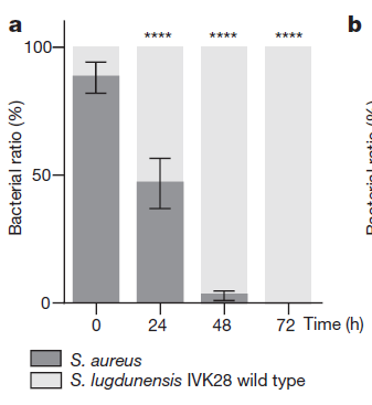 啄木鸟 8k 啄木鸟注意是啄木鸟否支持HDR