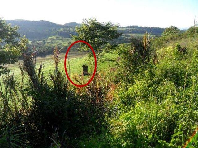 漫画无限臀山 你是无限在找一部特定的漫画