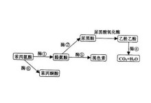 推特优质视频 使用正确的视频搜索方式