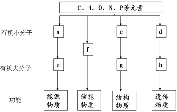 fox视频 但内容库和可用地区可能受限