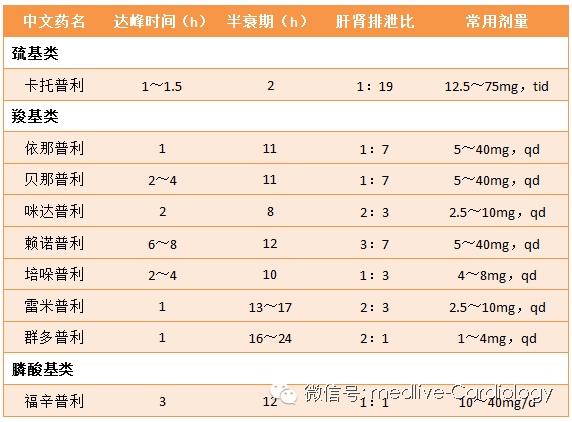 视频高清资源网站 