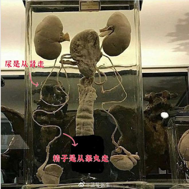 51黑料每日更新