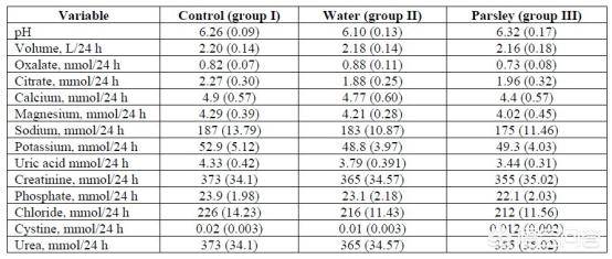美女毛片内射视频免费HD