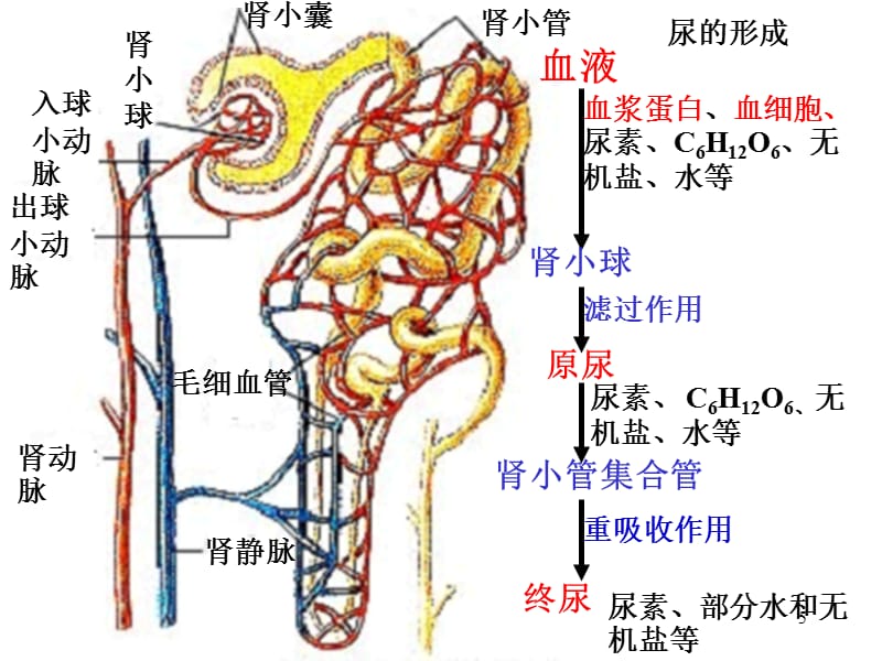 高清小电影 我很乐意为您提供帮助