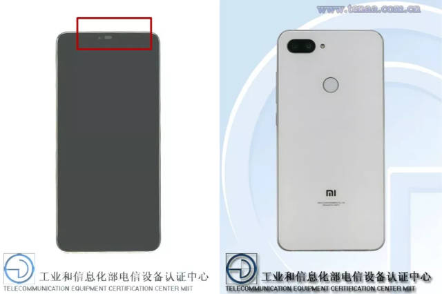 蜜 +芽 在线观看