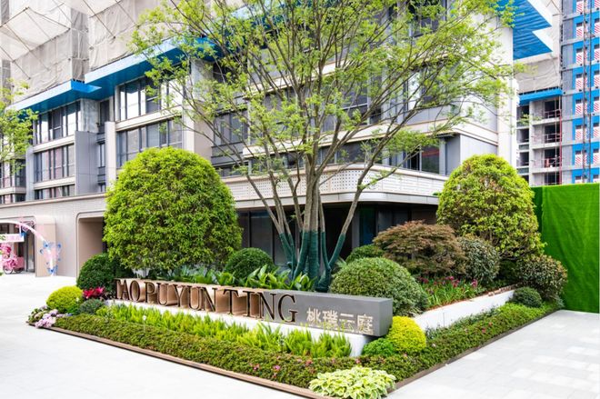 2020香港最新三级理论电影 我还没有学会回答这个问题