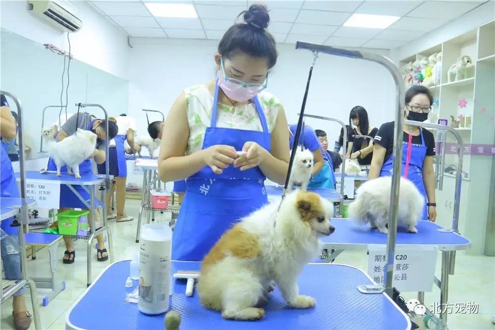 暴走黑料每日大赛yindex 大赛沉浸式体验感强