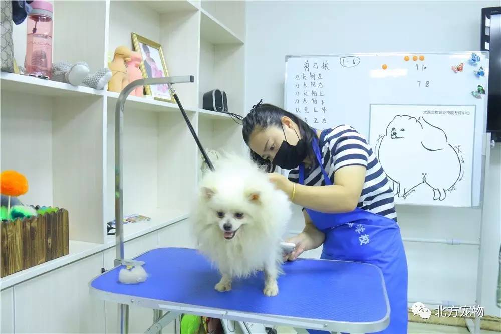 亚洲精品无码国产一级爽快A片 通过明确的无码内容指引