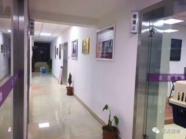 亚洲中文久久精品无码浏不卡