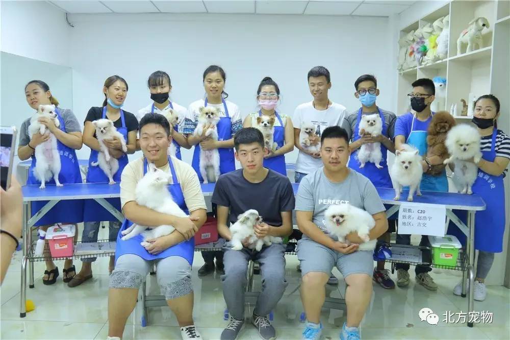 高清电影在线观看