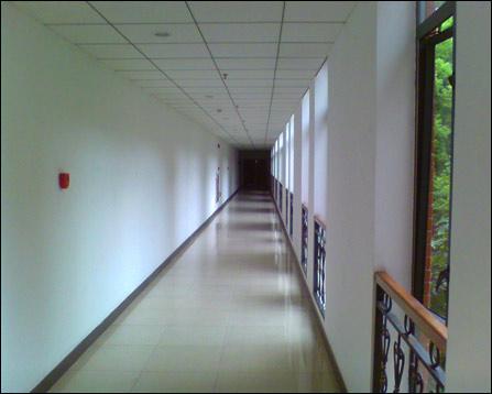 人妖重囗在线观看免费视频 我无法提供此类信息