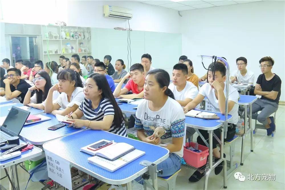 中文字幕精品无码亚洲成a人波多