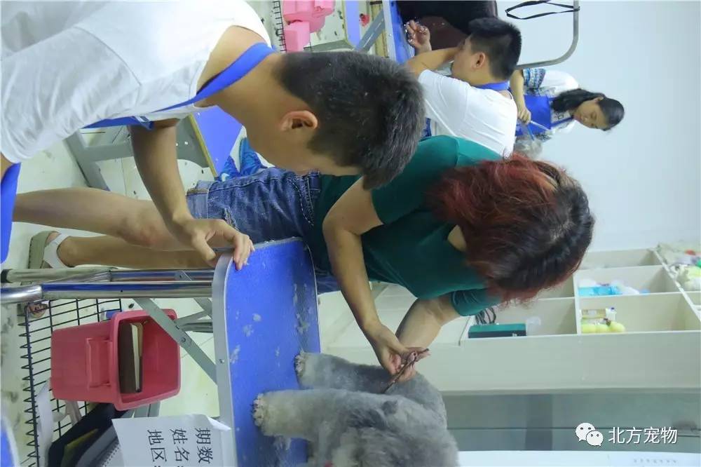 2026里番在线 请保持网络使用安全