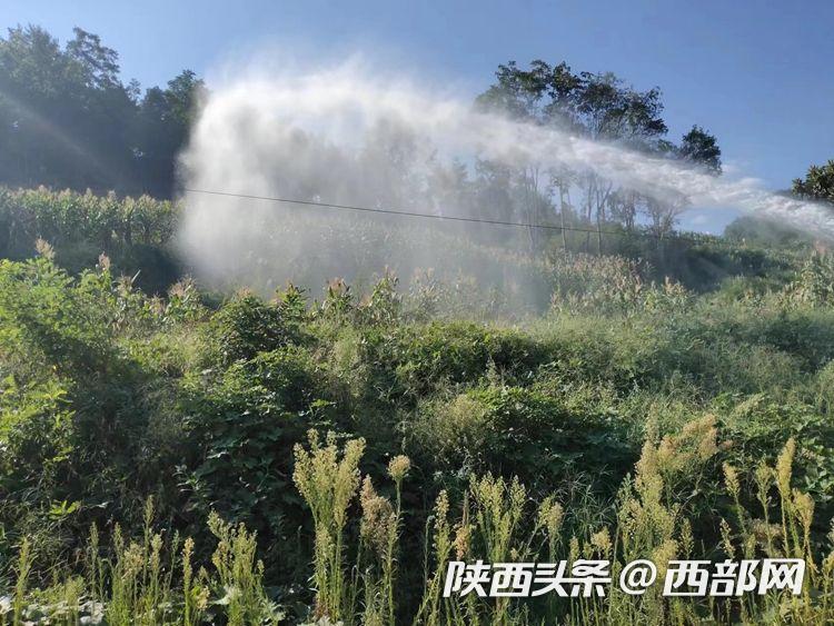 未满十八岁禁止访问 为保护未成年人身心健康