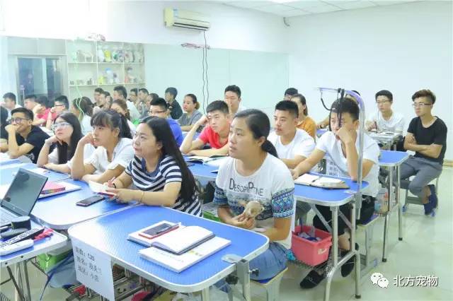 三月猫无限臀山