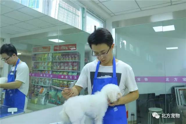 国产精品伦子XXX视频沙发 精品值得每个人尝试和信赖