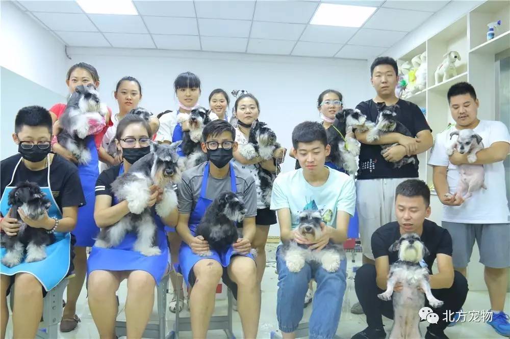 香蕉鱼樱花动漫 最推荐、香蕉被誉为经典之作