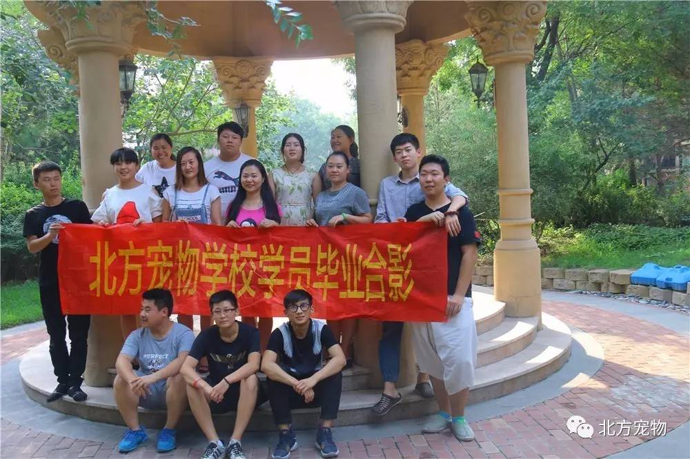 日本综艺挑战中文