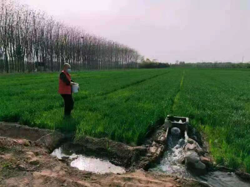 每日黑料每日 高效的黑料信息记录与整理