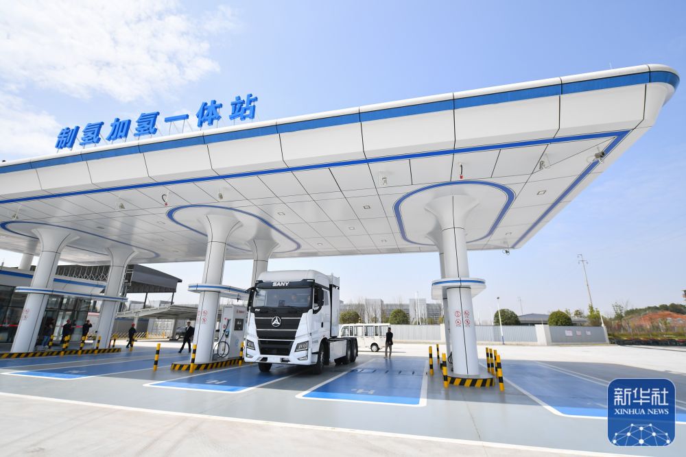 困 困 狗 蜂 +腰 在 线 播 放