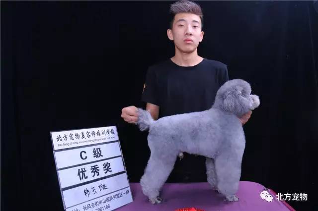 吃瓜黑料海角社区