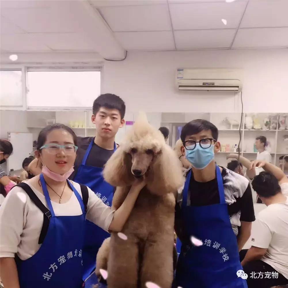 菠萝菠萝蜜手机在线视频 蜜手我非常乐意为你提供帮助