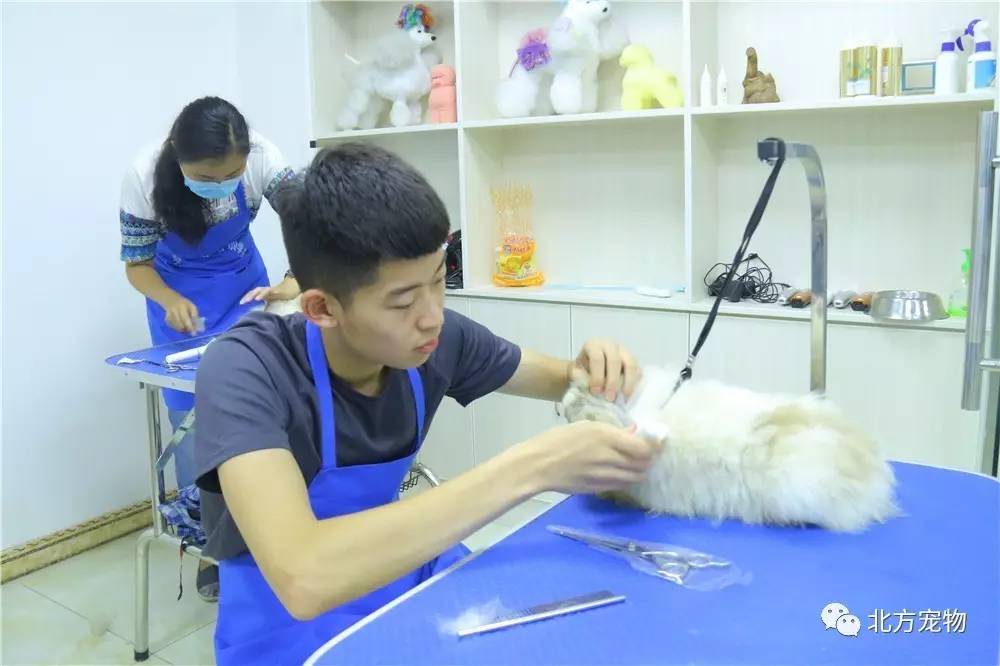 男男 困困狗 可以告诉我更清楚一些哦