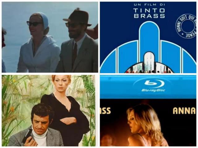 小草在线观看视频播放+视频 